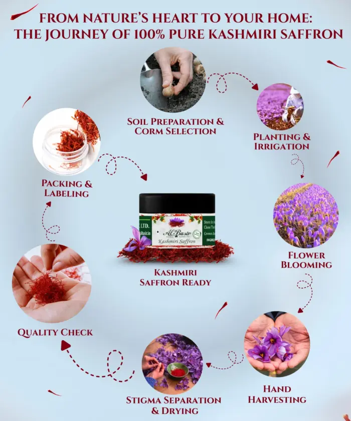 ALBASIR SAFFRON ROUND