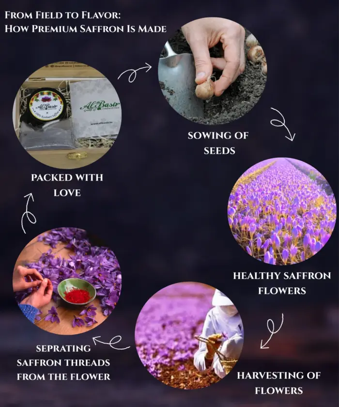 Pure Kashmiri Saffron 1g - Image 5