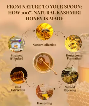 100% Natural Kashmiri Honey - Image 2