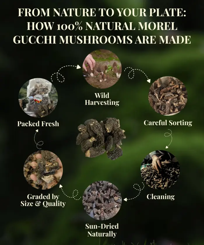Morel Mushroom Gucchi 100g - Image 5