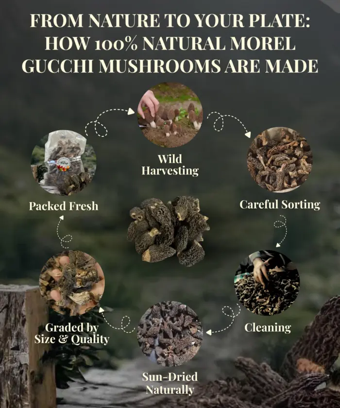 Morel Mushroom Gucchi 100g - Image 5