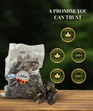 Morel Mushroom Gucchi 100g - Image 4