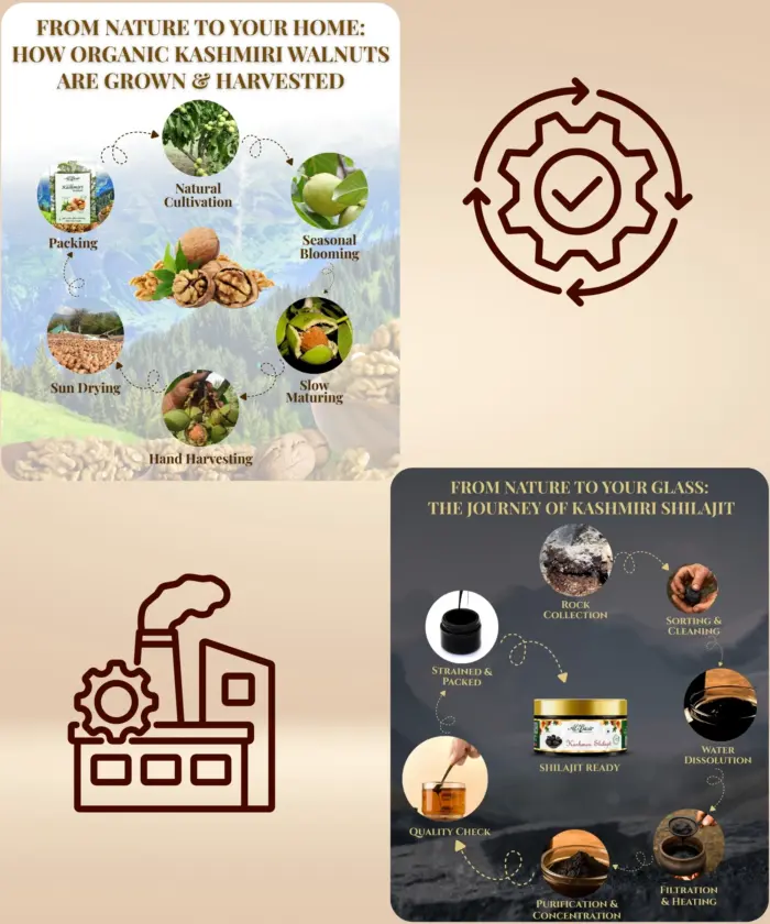 Walnut 1kg & Shilajit 50g - Image 5