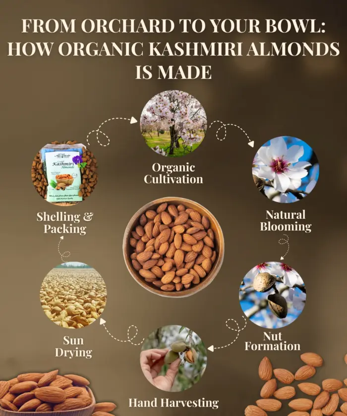 Kashmiri Almonds Kernel 1kg - Image 5