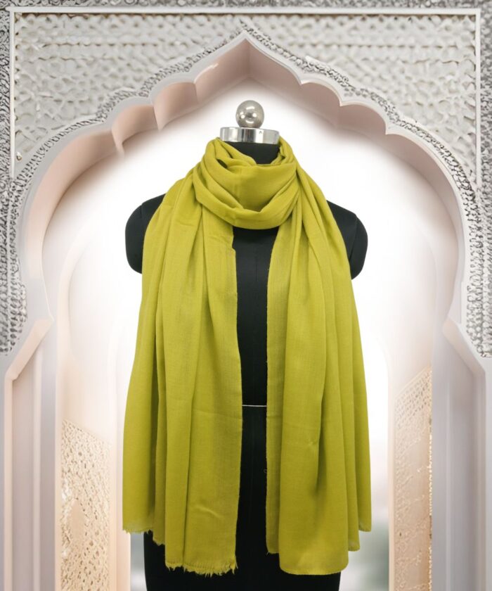 Stole Pashmina - Image 1