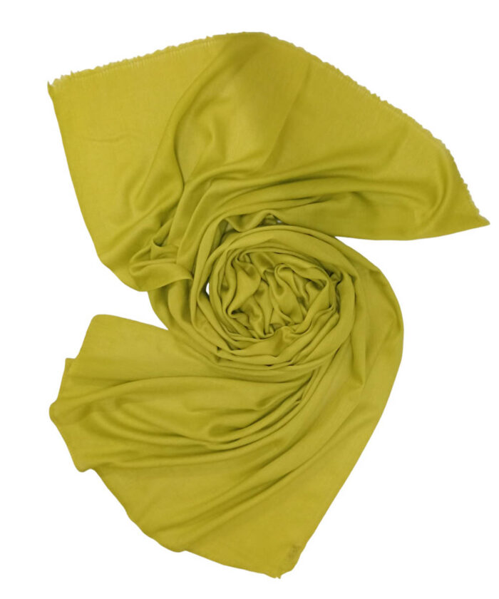 Stole Pashmina - Image 4
