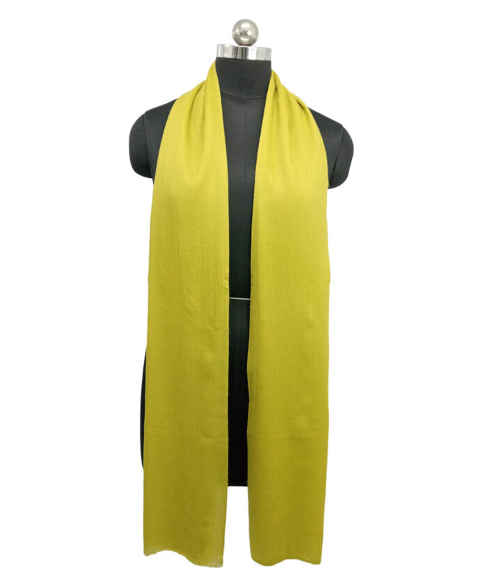 Stole Pashmina - Image 2