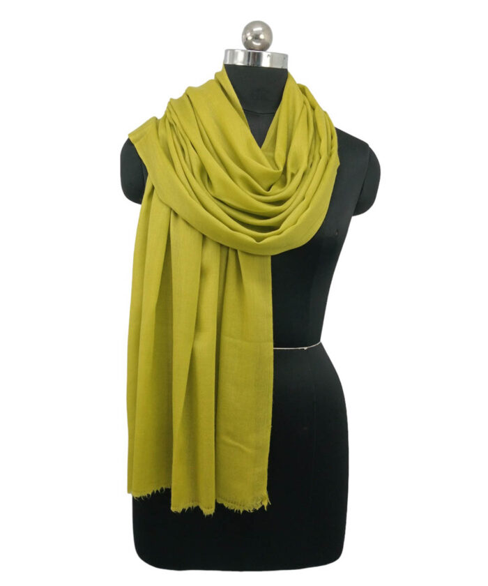 Stole Pashmina - Image 3