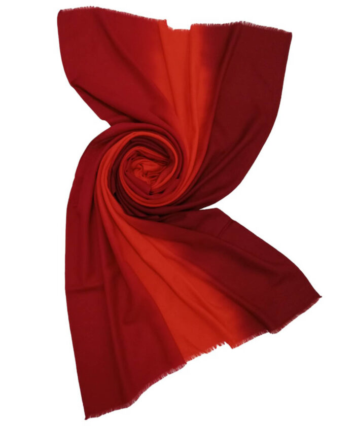 Stole Ombre Pashmina - Image 4