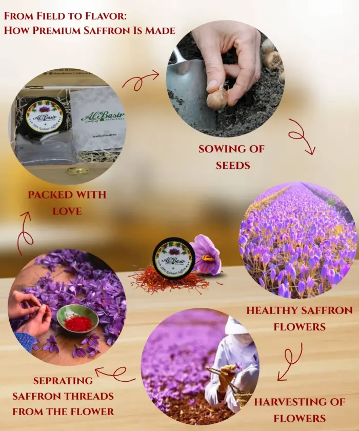 Pure Kashmiri Saffron 3gm - Image 4