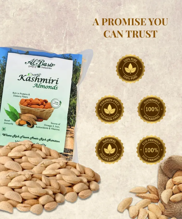 Kashmiri Shell Almonds - Image 2