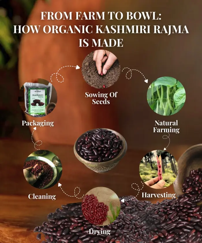 Kashmiri Rajma - Image 3