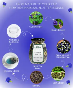 Kashmiri Blue Tea - Image 6