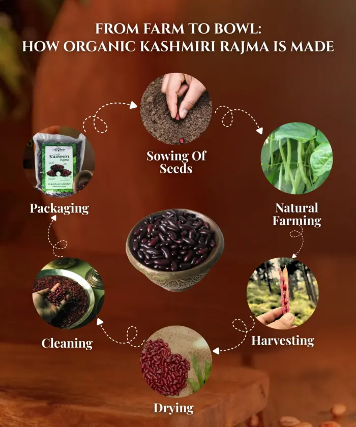 ALBASIR KASHMIRI RAJMA