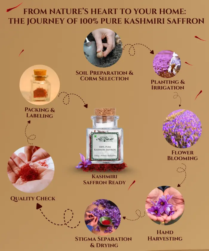 Pure Kashmiri Saffron - Image 5